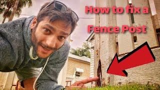 How to repair a FENCE POST - Termites and Wood Rot