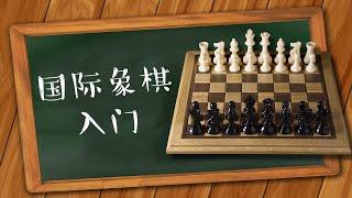 国际象棋入门第1集 | 如何走棋【VIPChess西洋棋】