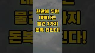 현관에 두면 대박나는 3가지 물건 돈복 터집니다.