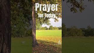 Everyday Prayer l A Prayer thar we should say everyday