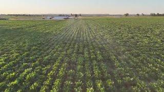 Montana farmers react to report on impact of climate change