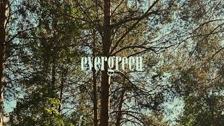 Evergreen (instrumental) – Rihcy Mitch & The Coal Miners • 1 hour loop (reverb + wind + birds)