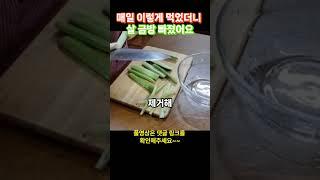 깜짝 놀랄 다이어트 레시피 / 꾸준히 먹으면 살 금방 빠집니다/ 노폐물, 뱃살 숙변까지 쑥~~