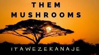 Itawezekanaje ...by mushroom