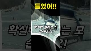 겨울철 테스트에서 위장되지 않은 채로 목격된 페이스리프트 테슬라 모델 Y 주니퍼