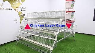 96/128 birds layer chicken cage for poultry farm