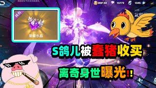 居哥哥：S裴奇偷送皮肤被发现！蠢猪却说是为了收买S鸽儿，好机会