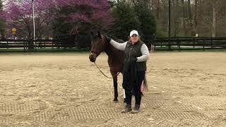 Intro to Rhythm of Gaits Part 1