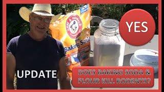 DOES BAKING SODA & FLOUR REALLY KILL RODENTS UPDATE