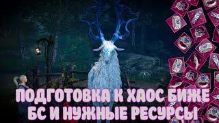 ПОДГОТОВКА К ХАОС БИЖЕ / СКОЛЬКО ДАСТ БС / ВЕСЬ СПИСОК / BLACK DESERT MOBILE