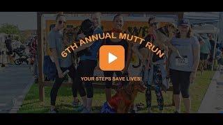 Mutt Run 2018