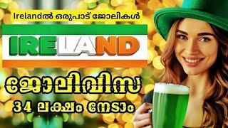 IRELANDലേക്ക് Jobvisa|wayfarerinsights|malayalam|Ireland critical skills employmentpermit #job #work