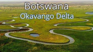 Exploring the Okavango Delta: Botswana's Natural Treasure