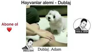 Hayvanlar Alemi Dublaj - Full - 2018