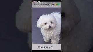 #정동원 #너무 다정한 딸바보_온가족이 귀염한도초과#밤비님인별 #걍남자 유튜브출처