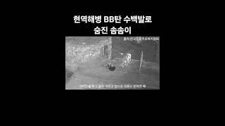 현역 해병대 비비탄 동물학대, 수백발 비비탄에 맞아 숨진 '솜솜이'와 부상당한 '깨'와 '매화'