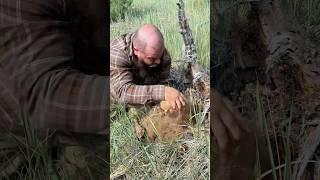 Нашел огромную живую…