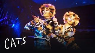 Mungojerrie and Rumpelteazer | Cats the Musical