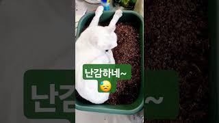 내 잘못이야 ㅠ