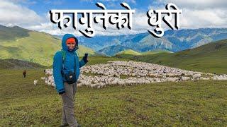 FAGUNE DHURI  || WAY TO WONDER LAND THANKUR || THE SNOW LEOPARD TREK