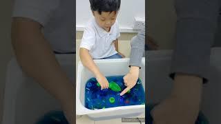 F is for Fish