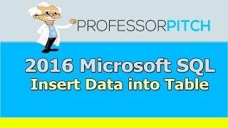 SQL Studio: SQL Insert Data Into Table [Beginners]