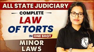 Law of Torts (One Shot) | Minor Law | All State Judiciary Exam