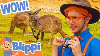 Blippi the Safari Animal Spotter! | @Blippi - Educational Videos for Kids |  Moonbug Literacy 