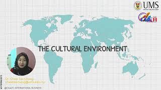 THE ENVIRONMENT OF INTERNATIONAL BUSINESS: CULTURE