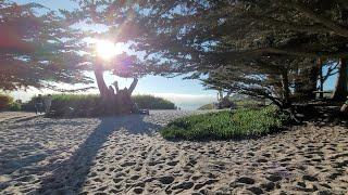 Carmel by the Sea