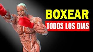  Qué Le Pasa A Tu Cuerpo Si Empiezas A Boxear Todos los Días - Beneficios de Boxear