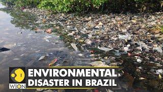 WION Climate Tracker | Brazil's environment threatened as tons of rubbish floats in rivers