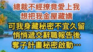 《BB被搶後》第07集：總裁不經撩竟愛上我，想把我金屋藏嬌，可我身藏秘密不宜久留，悄悄遞交辭職報告後，奪子計畫秘密啟動……#婚姻#情感故事#甜寵#故事#小說#霸總