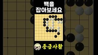 쉬운바둑 중급사활