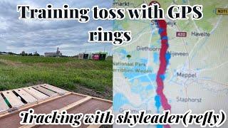 Training Old Birds | with GPS Rings From Skyleader (Refly) | Racing pigeons