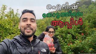 Delightful Apple-Picking Adventure | Ireland Malayalam Travel