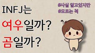 INFJ성격 - 인프제는 여우일까? 곰일까? ㅣ알지만 모르는 척 하는 인프제