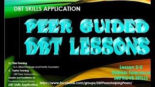 DBT Skills Application 2-5 IMPROVE the Moment