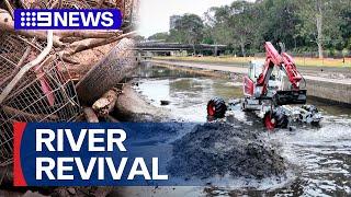 Parramatta River undergoing major health check | 9 News Australia