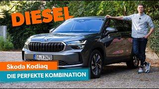 Der Škoda Kodiaq im Test mit dem sinnvollsten Antrieb für ein großes SUV im Test | mobile.de