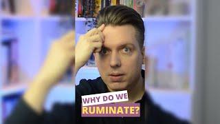 Why Do We Ruminate? | #shorts