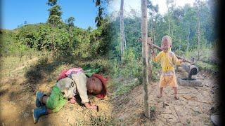 The orphan boy picked leaves to save money to buy milk for his younger sibling.