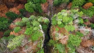 The Autumn Nature Romania Wild Carpathia Waterfall & Forest Video drone footage DJI