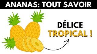 Ananas : ses dangers et bienfaits pour la santé - Dr Santé