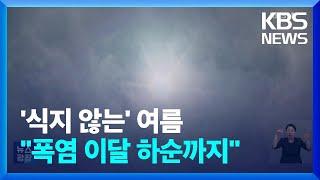 비도 태풍도 “폭염 못 꺾어”…이유는? / KBS  2024.08.09.