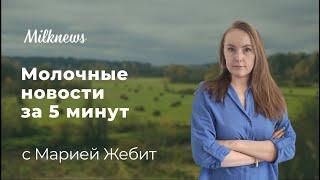 Молочные новости за 5 минут: скачок на бирже, рост цен в России, уход главы Данон