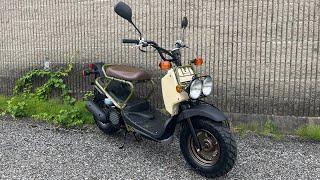 2024 Honda Ruckus | Reputation Exceeding the Common Eye