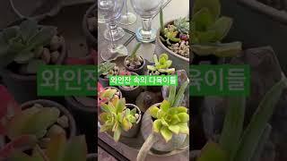 사랑이네 카페는 Botanic Garden