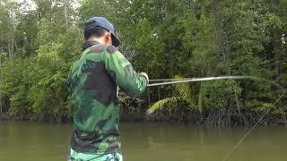 Topwater Papuan Black Bass Fishing with Gong Lei Part-4