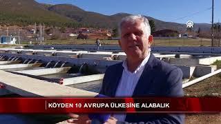 Köyden 10 Avrupa ülkesine alabalık